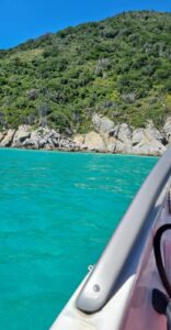 Passeie com a RS Boat e conheça os encantos do mar de cabo frio